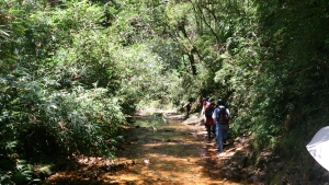 Fansipan mùa này